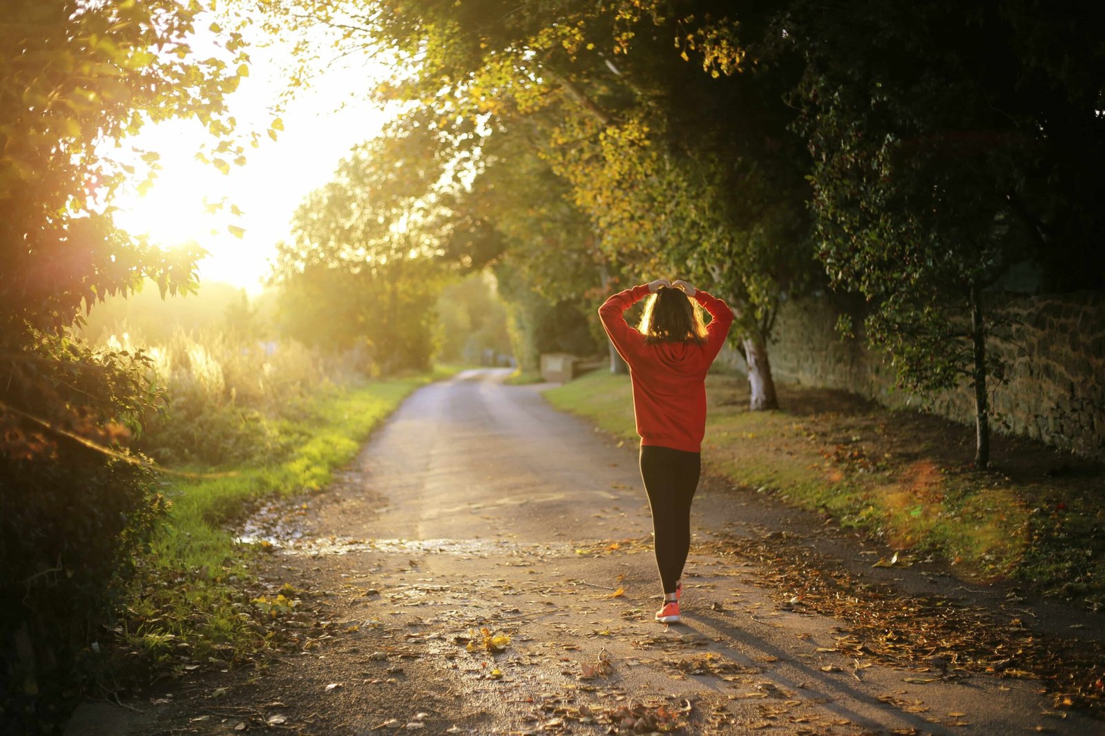 Finding Wellness in a Hectic World